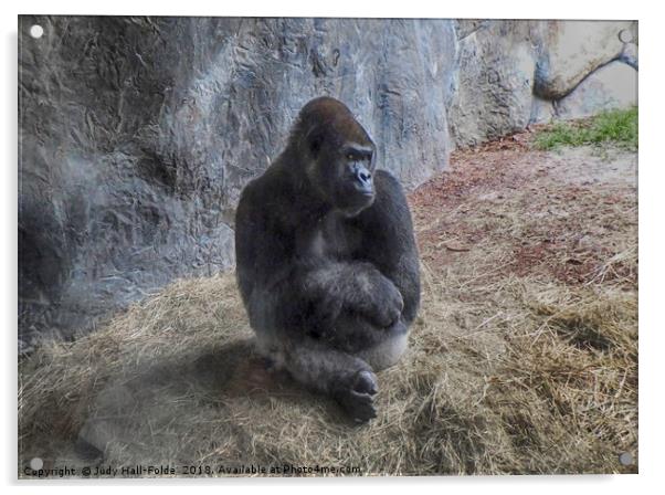 Gorilla Pose Acrylic by Judy Hall-Folde