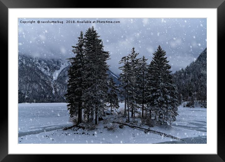 Trees At The Frozen Lago del Predil Framed Mounted Print by rawshutterbug 