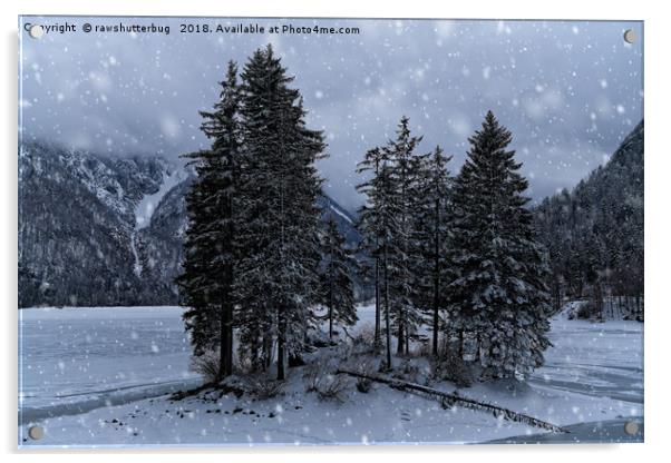 Trees At The Frozen Lago del Predil Acrylic by rawshutterbug 