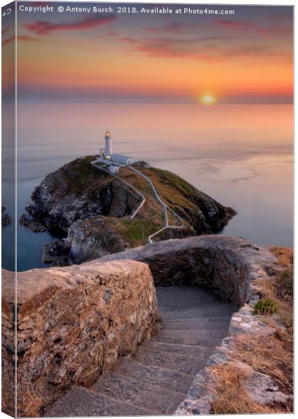 South Stack Sundown Canvas Print by Antony Burch