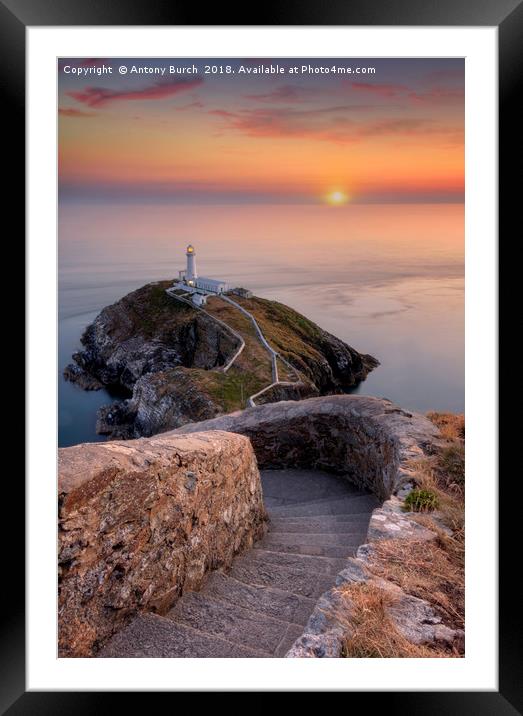South Stack Sundown Framed Mounted Print by Antony Burch