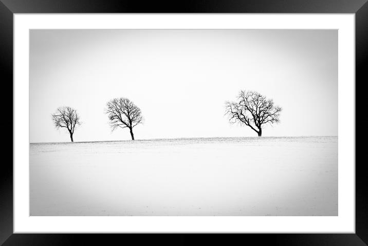 Winter scene Framed Mounted Print by Tony Swain