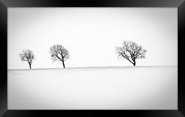 Winter scene Framed Print by Tony Swain