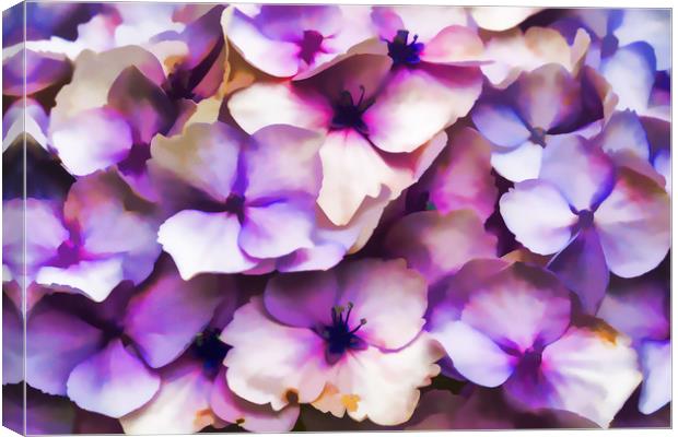 Impressions Of A Hydrangea Canvas Print by Steve Purnell