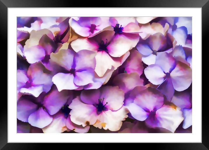 Impressions Of A Hydrangea Framed Mounted Print by Steve Purnell