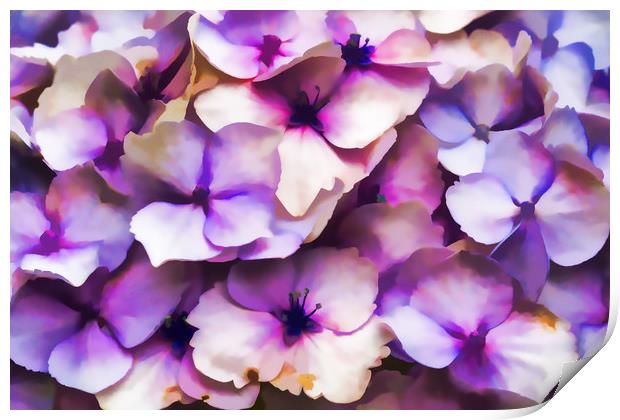 Impressions Of A Hydrangea Print by Steve Purnell