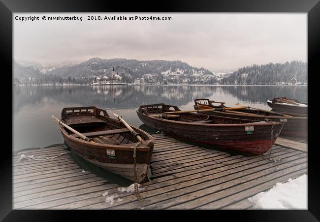 Rowing Boats At The Lake Bled Framed Print by rawshutterbug 