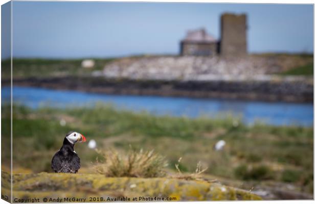 Puffin on Staple Island Canvas Print by Andy McGarry
