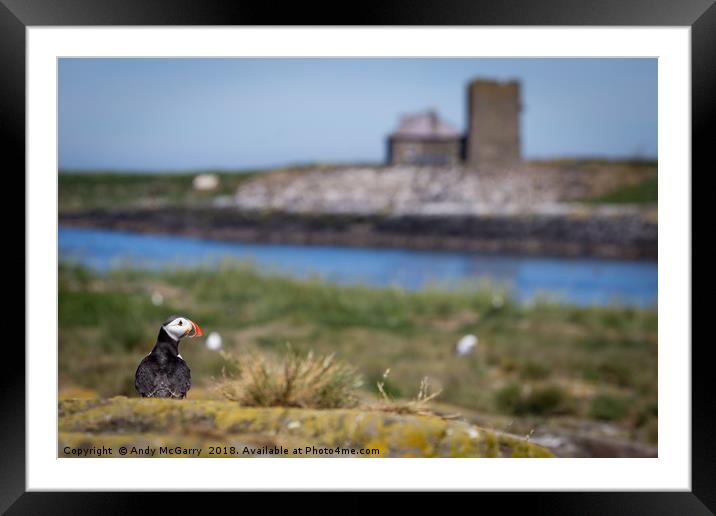 Puffin on Staple Island Framed Mounted Print by Andy McGarry