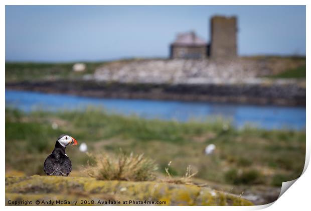 Puffin on Staple Island Print by Andy McGarry