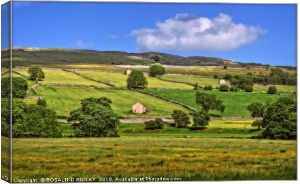 "Sunny day in the Yorkshire Dales" Canvas Print by ROS RIDLEY