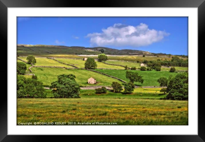 "Sunny day in the Yorkshire Dales" Framed Mounted Print by ROS RIDLEY
