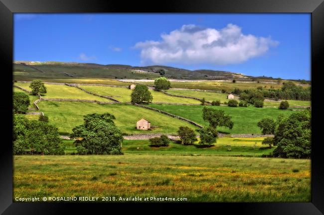 "Sunny day in the Yorkshire Dales" Framed Print by ROS RIDLEY