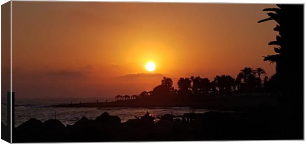Cyprus Sunset Canvas Print by Rachel Barlow