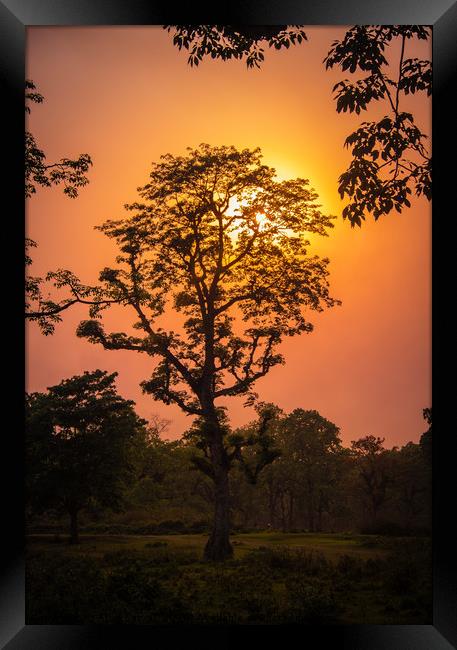 Sunset View at Chitwan National Park, Nepal Framed Print by Arun Satyal