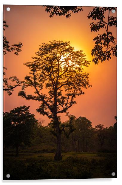 Sunset View at Chitwan National Park, Nepal Acrylic by Arun Satyal