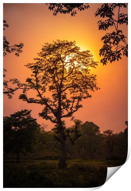 Sunset View at Chitwan National Park, Nepal Print by Arun Satyal