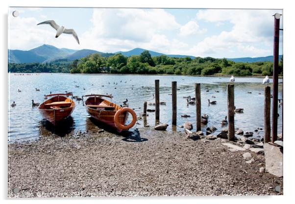 Rowing boats on Derwent water Acrylic by Frank Irwin