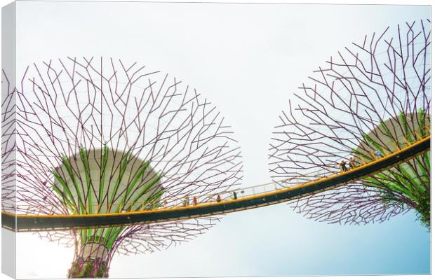 Super-tree in Garden by the bay Canvas Print by Quang Nguyen Duc