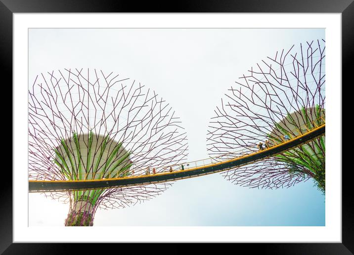 Super-tree in Garden by the bay Framed Mounted Print by Quang Nguyen Duc