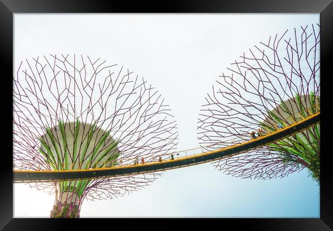 Super-tree in Garden by the bay Framed Print by Quang Nguyen Duc