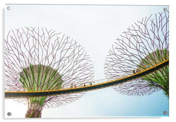 Super-tree in Garden by the bay Acrylic by Quang Nguyen Duc