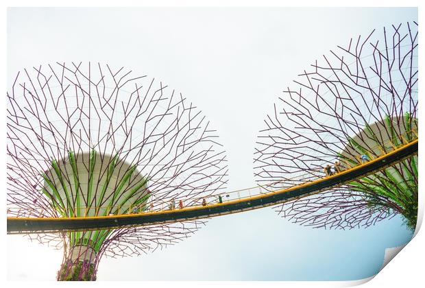 Super-tree in Garden by the bay Print by Quang Nguyen Duc