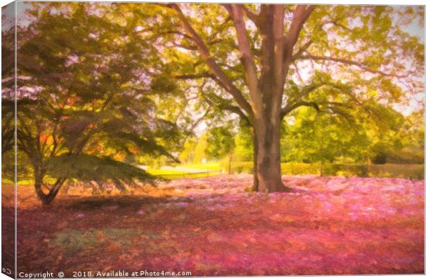 Pink Leaves in a Forest Canvas Print by Zahra Majid