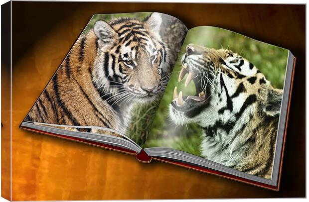 Tiger Photobook Canvas Print by Sam Smith