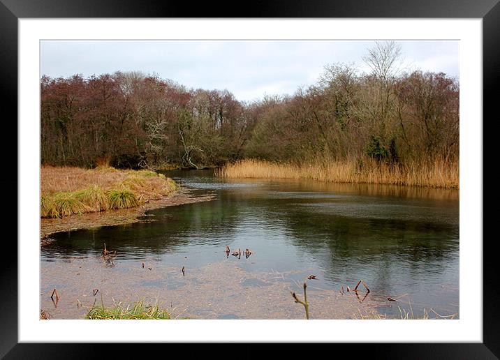 Mill Pond Framed Mounted Print by kelly Draper