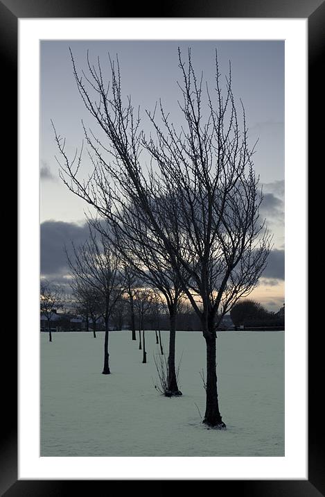 Snow trees Framed Mounted Print by Peter Elliott 