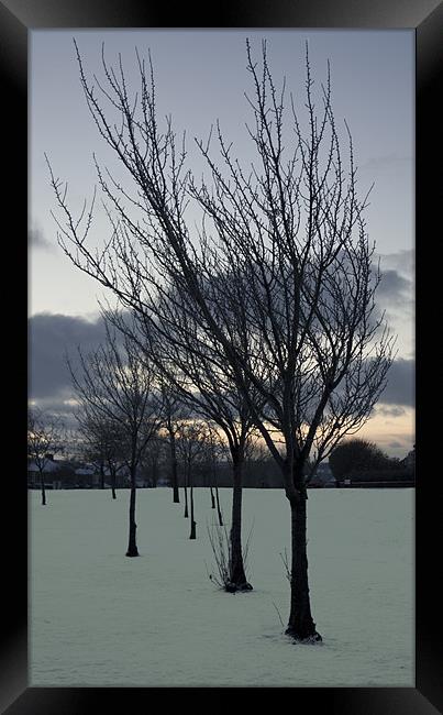 Snow trees Framed Print by Peter Elliott 