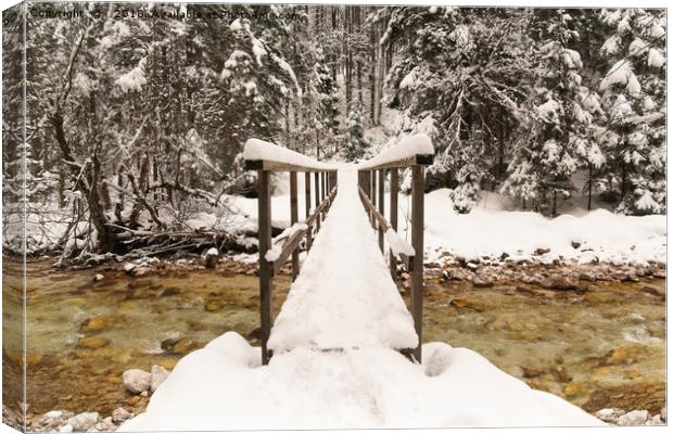 Pericnik Falls Snowy Bridge Canvas Print by rawshutterbug 