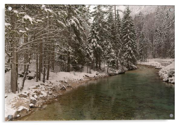 Picturesque Triglavska Bistrica River Acrylic by rawshutterbug 