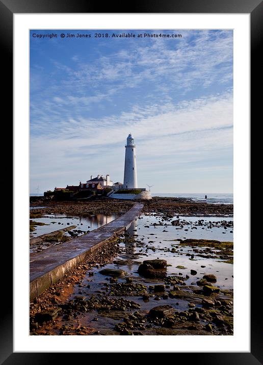 St Mary's Island and Lighthouse (Portrait view) Framed Mounted Print by Jim Jones