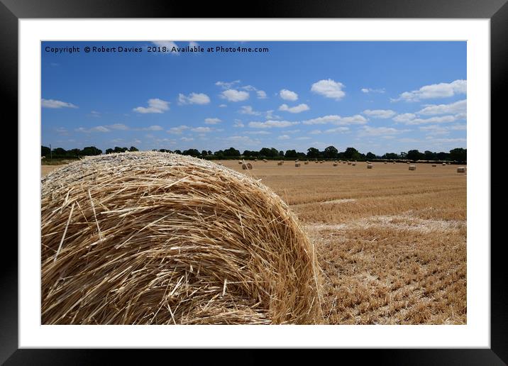 Bale Of Straw Hay Bale Holmes Chapel Framed Mounted Print by Robert Davies