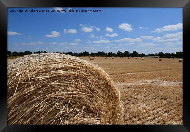 Bale Of Straw Hay Bale Holmes Chapel Framed Print by Robert Davies
