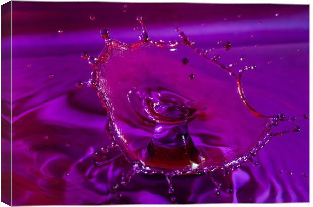 Water drops colliding Canvas Print by Tony Swain