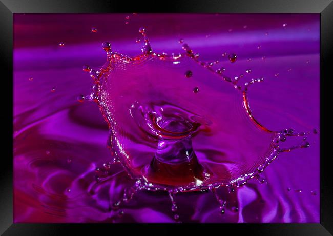 Water drops colliding Framed Print by Tony Swain
