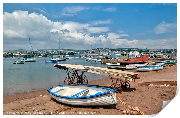 The Old Boat Launch at Teignmouth Back Beach  Print by Rosie Spooner