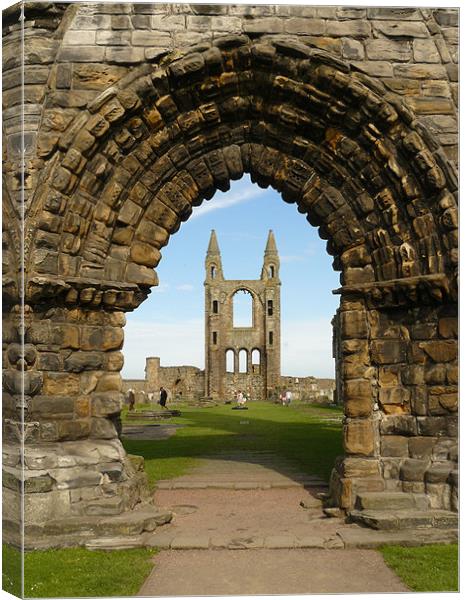 St Andrews Cathedral Canvas Print by Mark Malaczynski