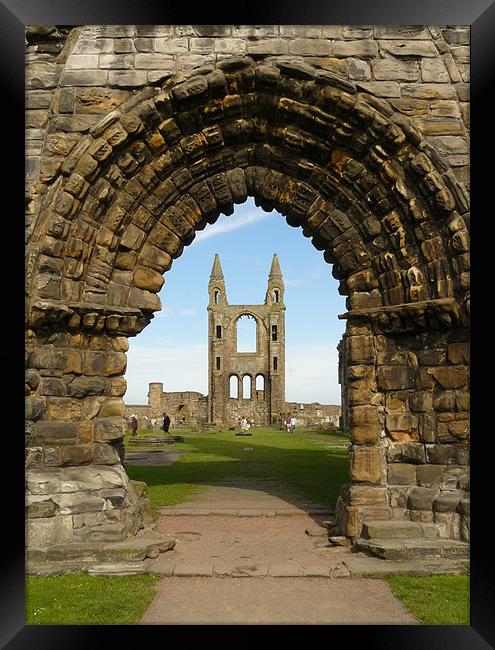 St Andrews Cathedral Framed Print by Mark Malaczynski