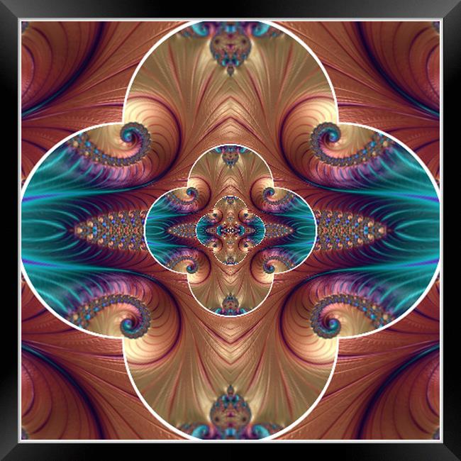 Spirals Flowery Framed Print by Steve Purnell