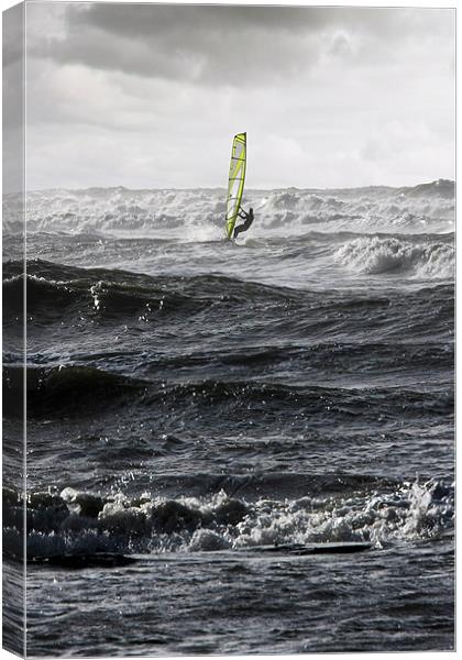 windsurfer Canvas Print by Tony Bates
