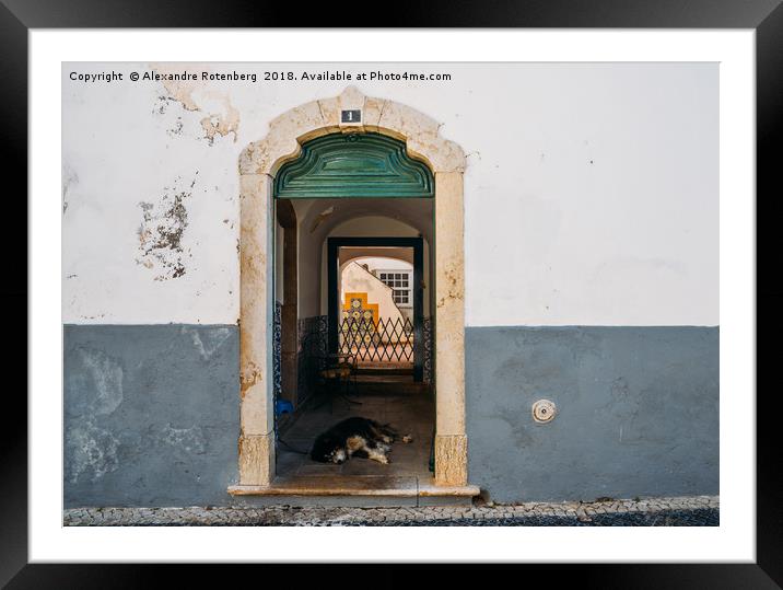 Lazy dog at rustic doorway in Faro, Portugal Framed Mounted Print by Alexandre Rotenberg