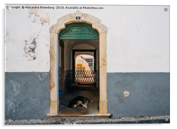 Lazy dog at rustic doorway in Faro, Portugal Acrylic by Alexandre Rotenberg