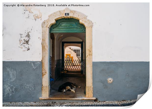 Lazy dog at rustic doorway in Faro, Portugal Print by Alexandre Rotenberg