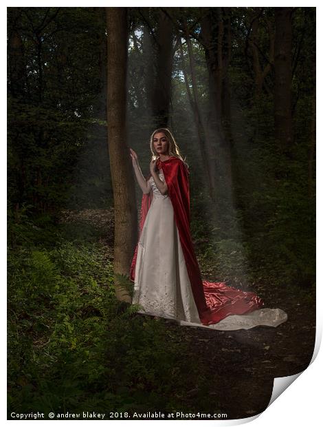 Enchanting Red Riding Hood Print by andrew blakey