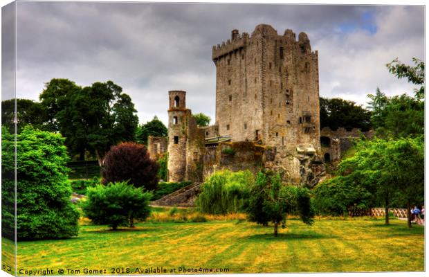 Blarney Castle Canvas Print by Tom Gomez