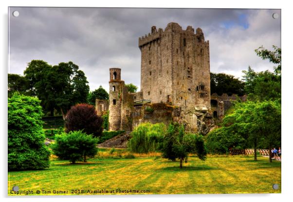 Blarney Castle Acrylic by Tom Gomez